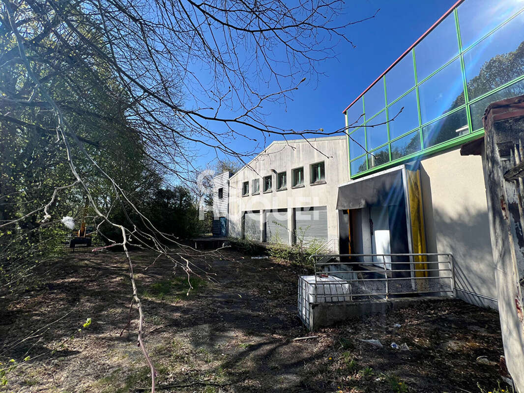 Commerce à MILLY-LA-FORET