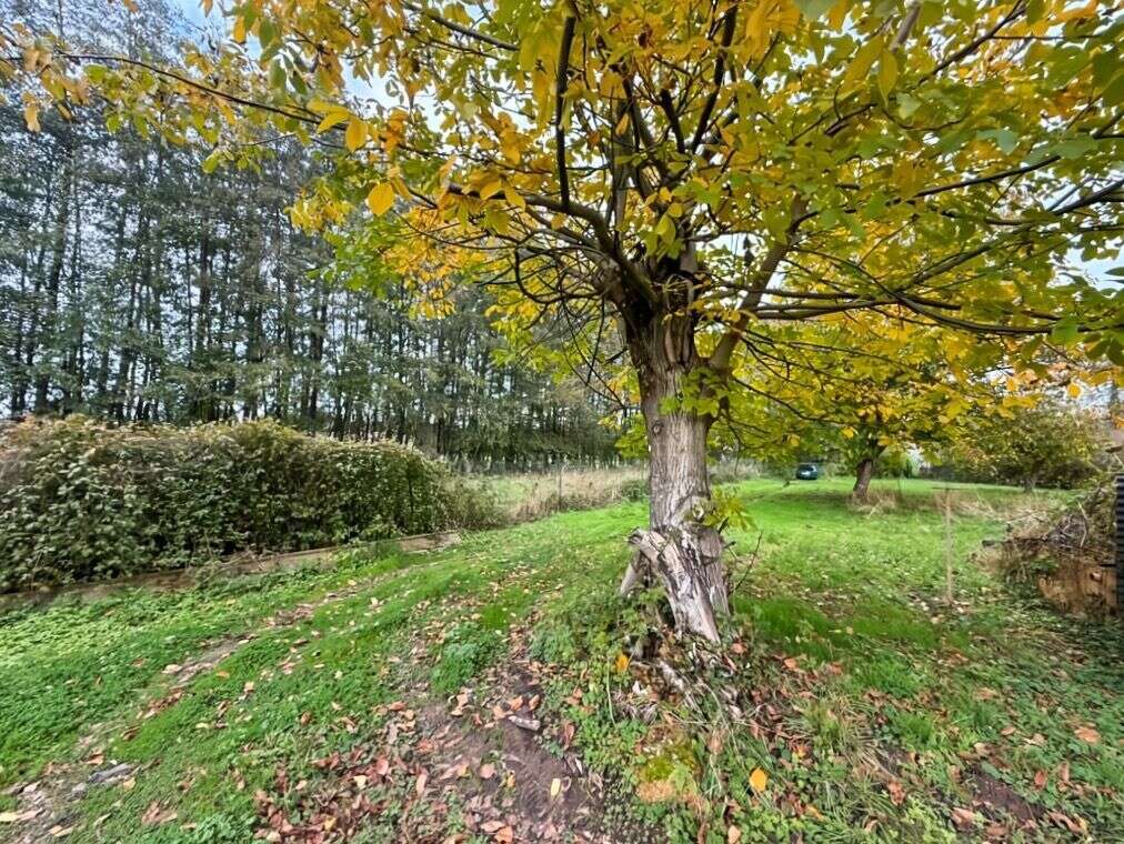 Maison à HAM-LES-MOINES