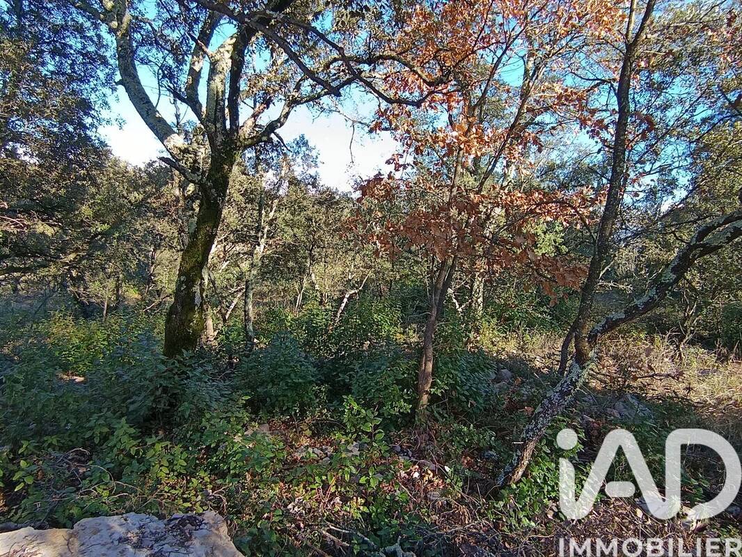 Photo 1 - Terrain à LES VANS