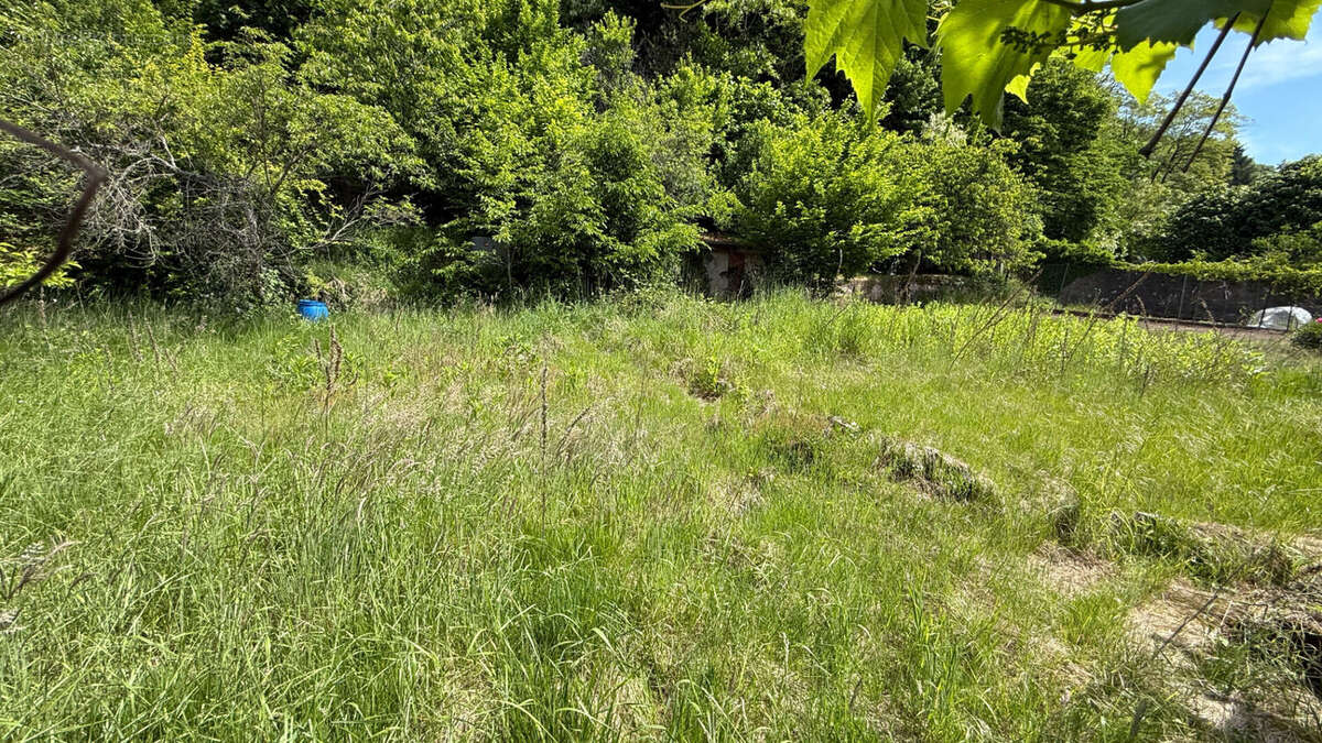 Terrain à RAON-L&#039;ETAPE