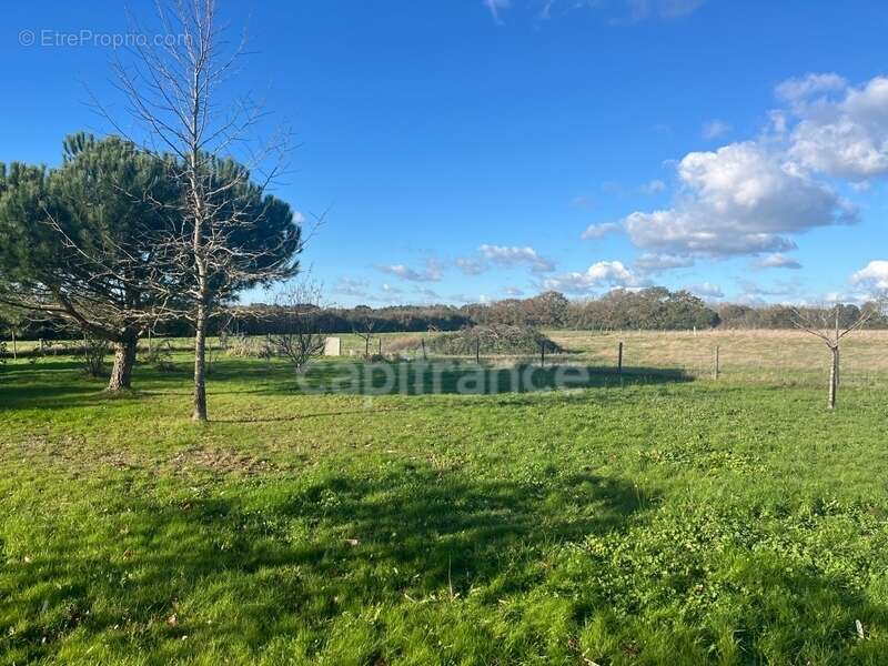 Maison à LES SABLES-D&#039;OLONNE