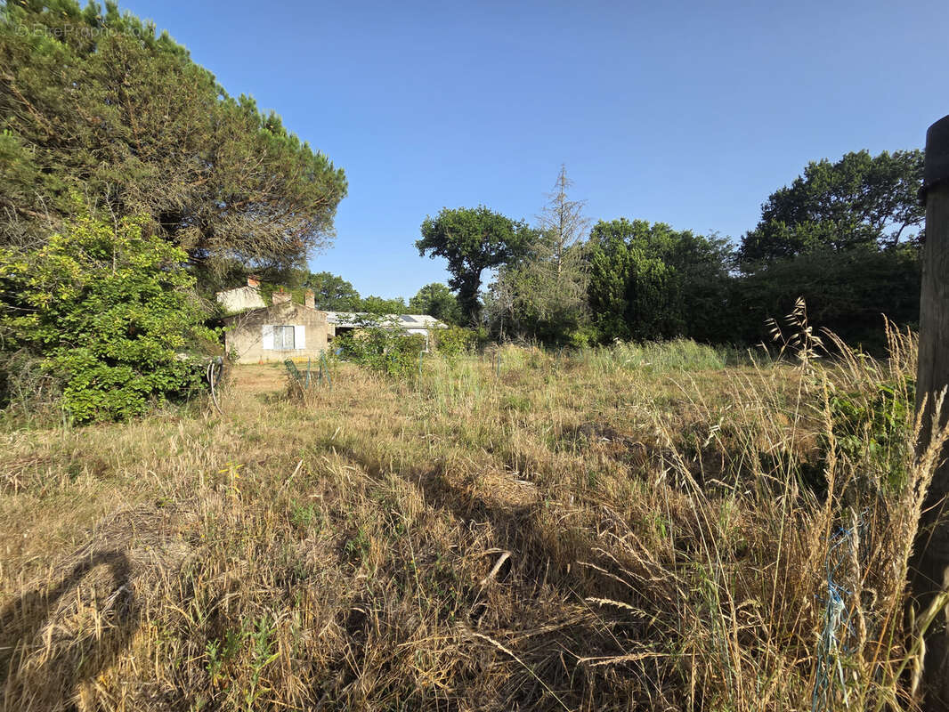 Terrain à GROSBREUIL