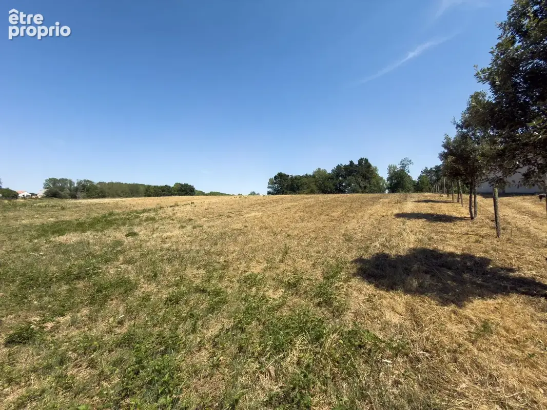 Terrain2