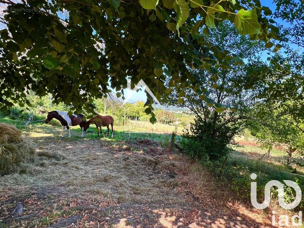 Photo 2 - Maison à VIRIVILLE