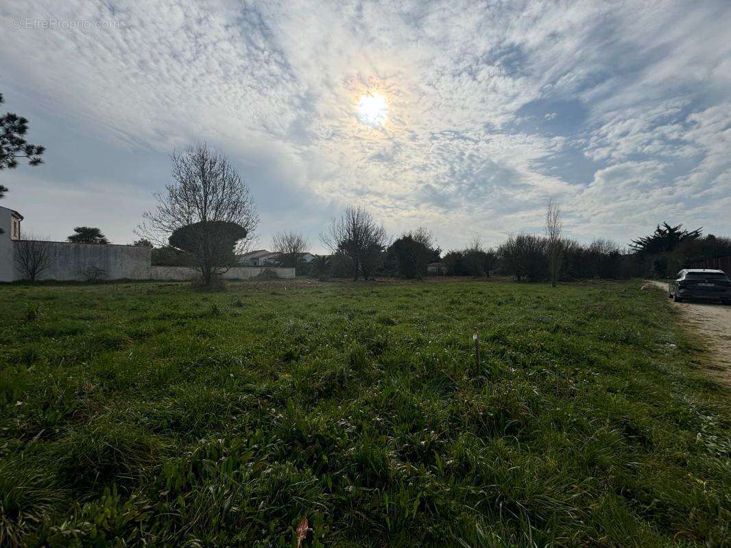 Terrain à SAINT-GEORGES-D&#039;OLERON