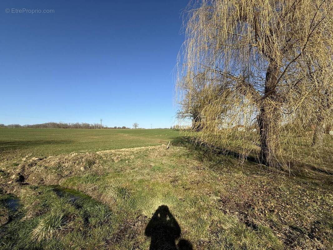 Photo 1 - Terrain à LUSIGNY-SUR-BARSE