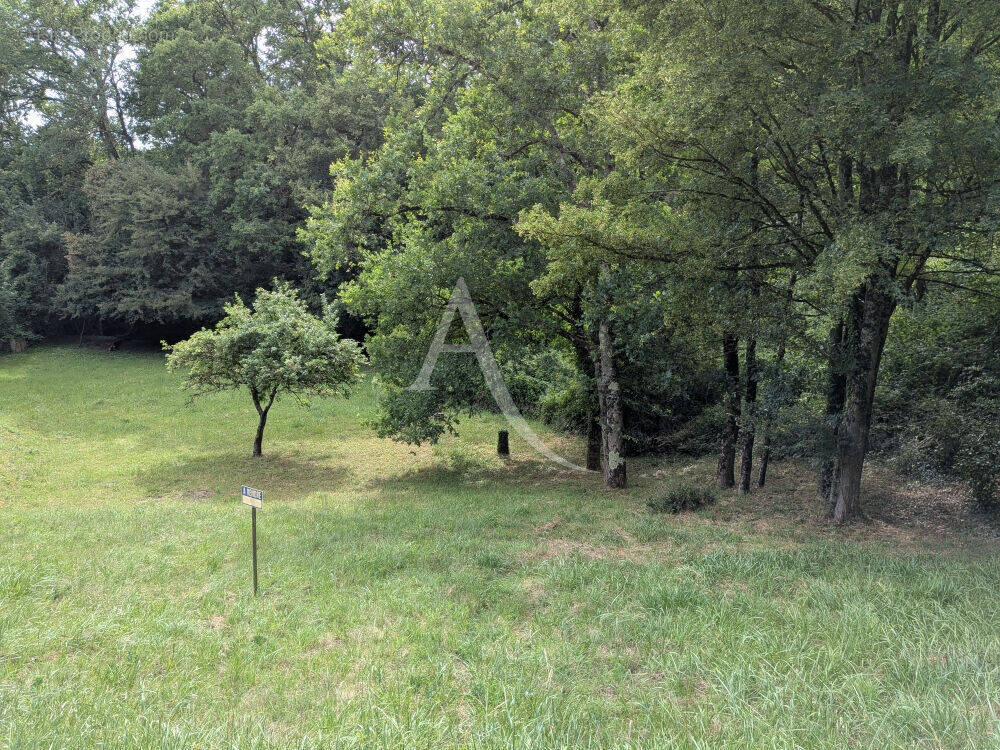 Terrain à ONZAIN