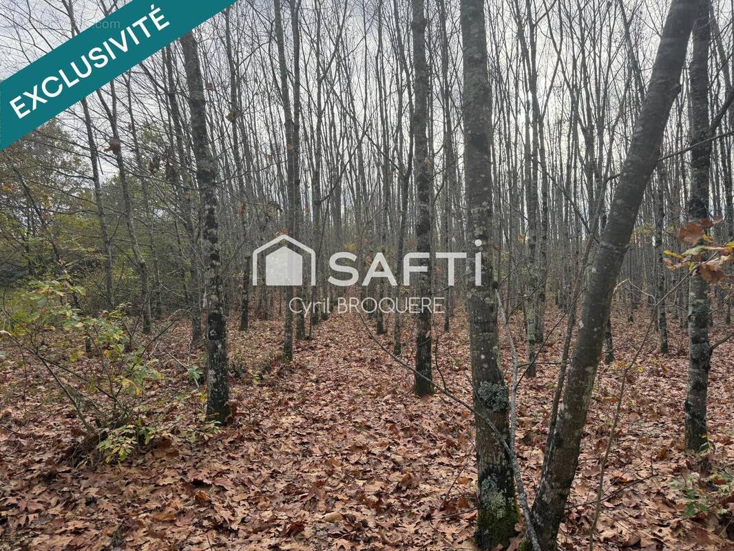 Photo 1 - Terrain à ESCATALENS