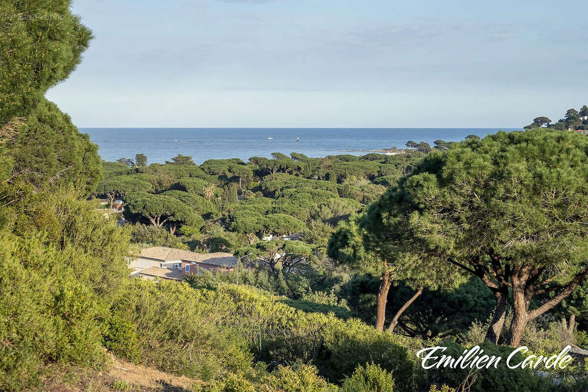Terrain à SAINTE-MAXIME