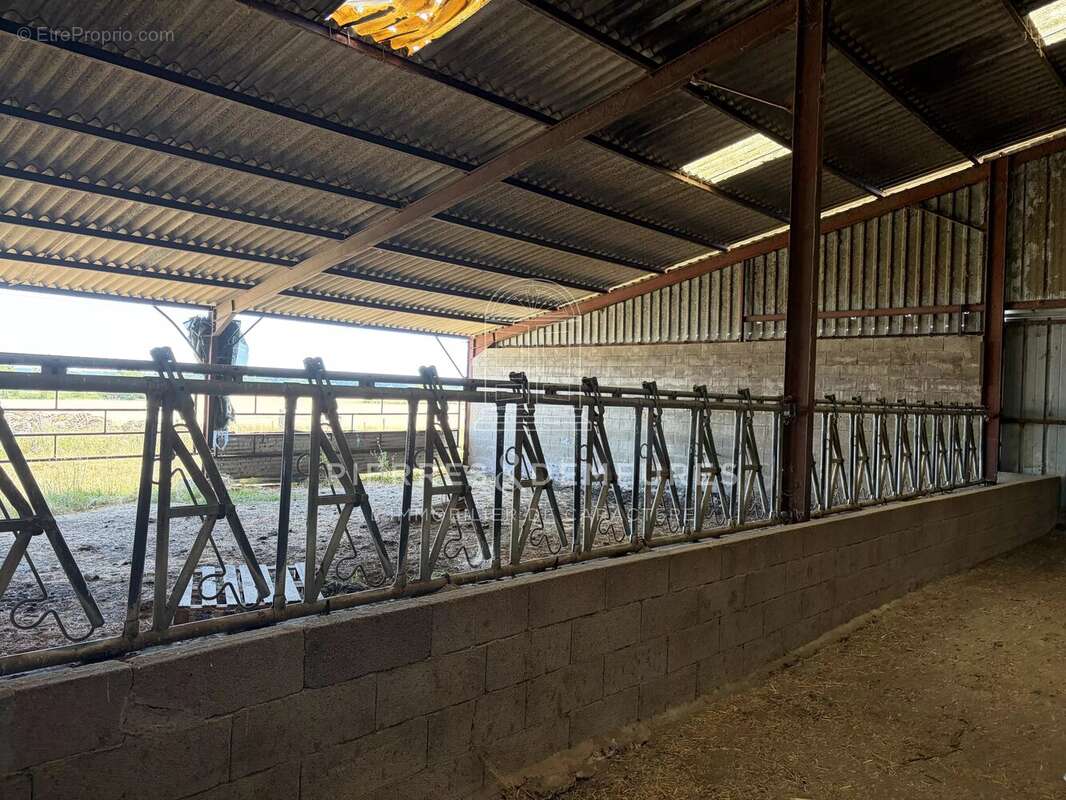 Fermette et ses 1400 m² de dépendances sur 5 hectares - photo 19