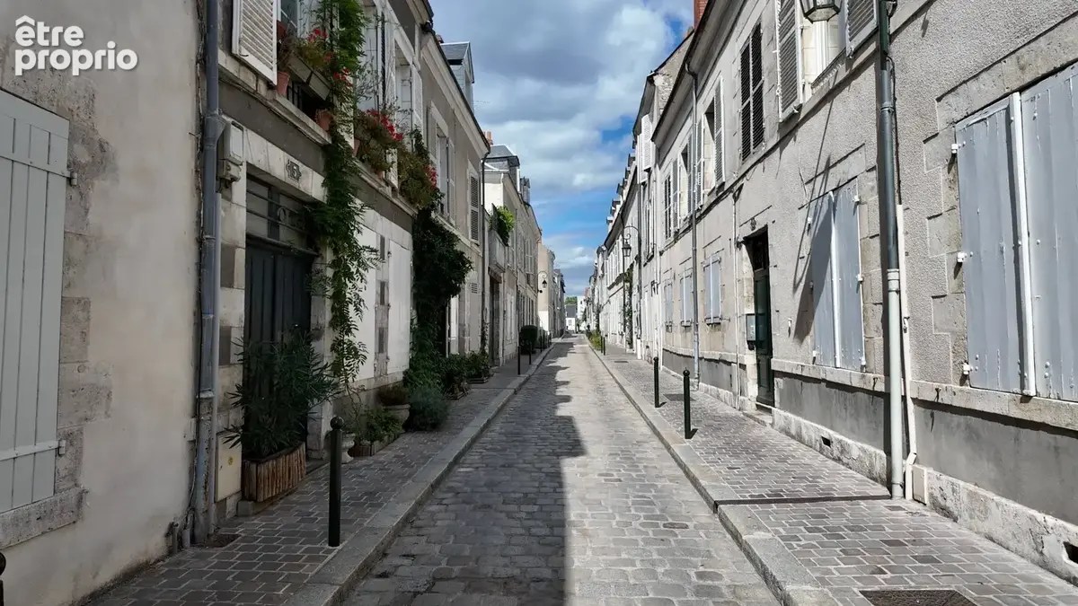 Appartement Duplex T2 ORLEANS (45) - photo 17