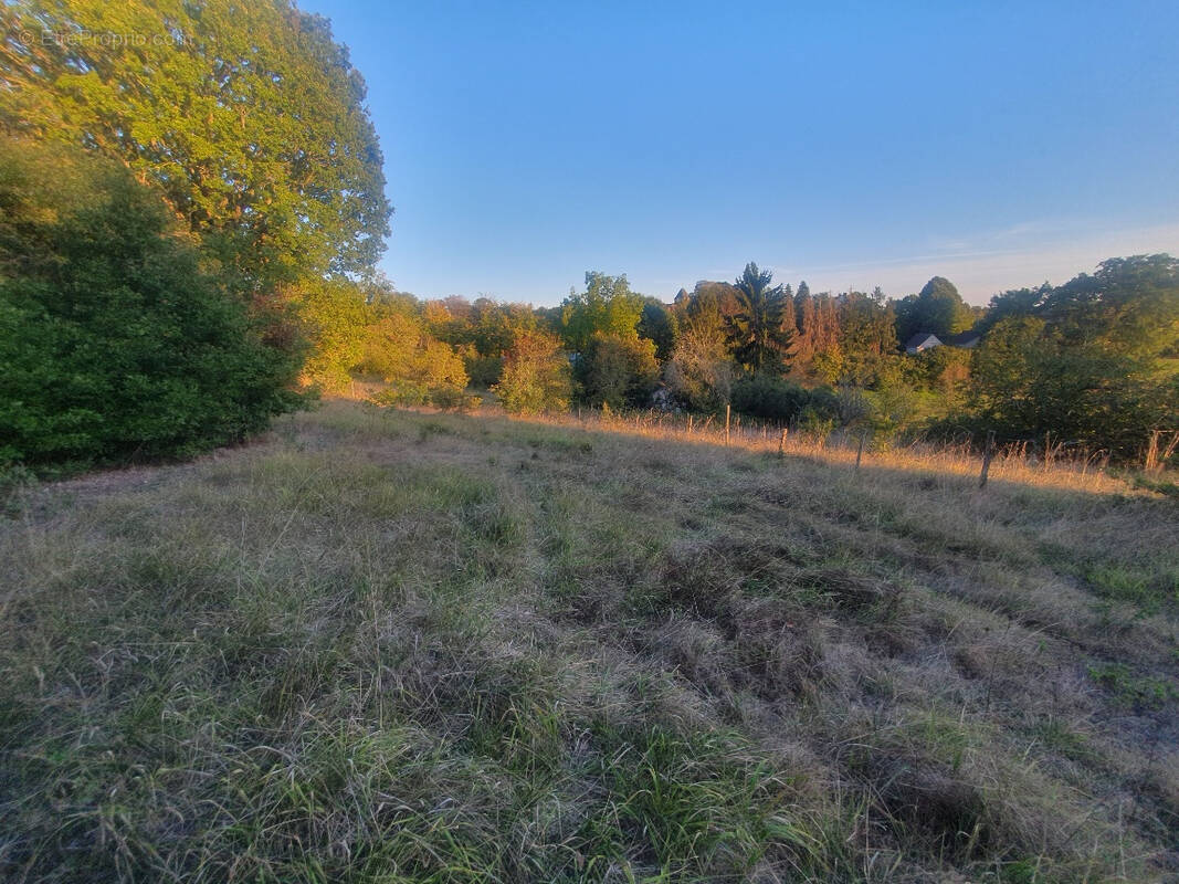 Terrain à THENON