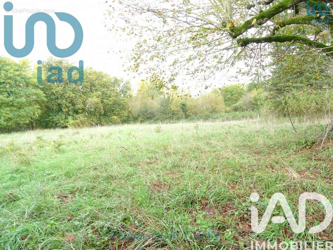 Photo 5 - Maison à LA CHAPELLE-GRESIGNAC