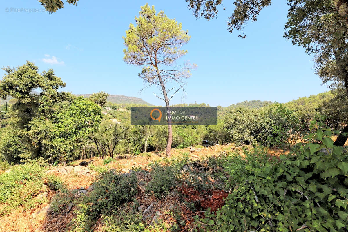488 JD - SOLLIES-TOUCAS - Valaury - Terrain constructible de 2302 m2 - photo 5