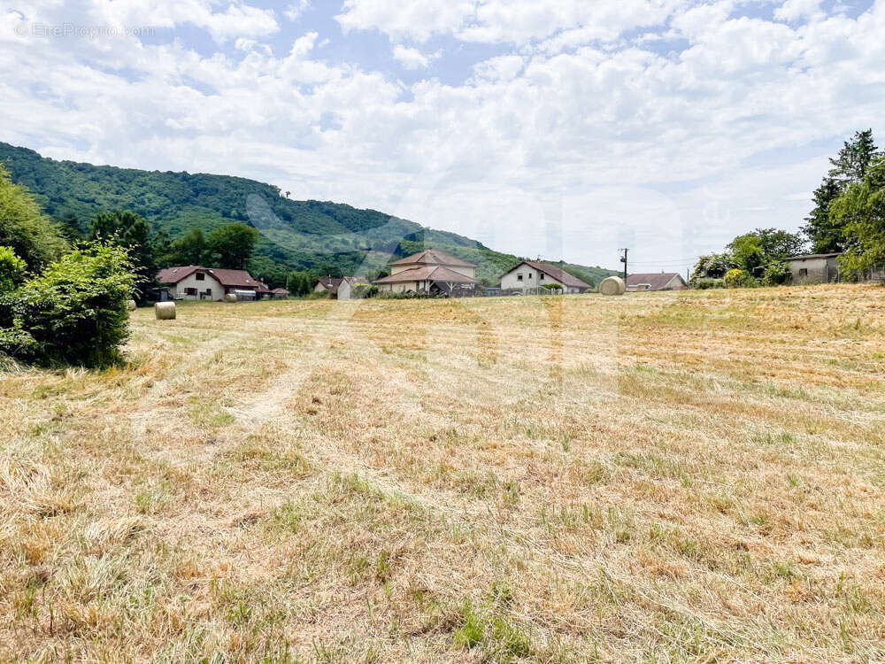 Terrain viabilisé (Lot 12 Bis) - Terrain à BEAUCROISSANT