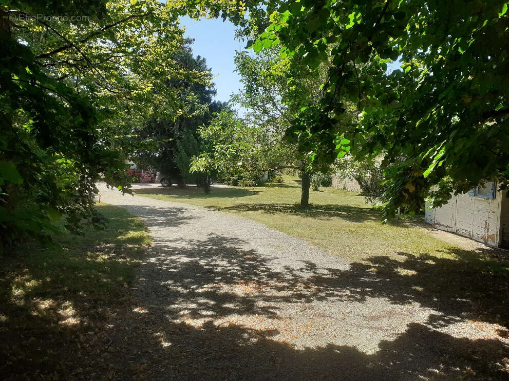 Terrain à SAINT-ROMAIN-DE-BENET