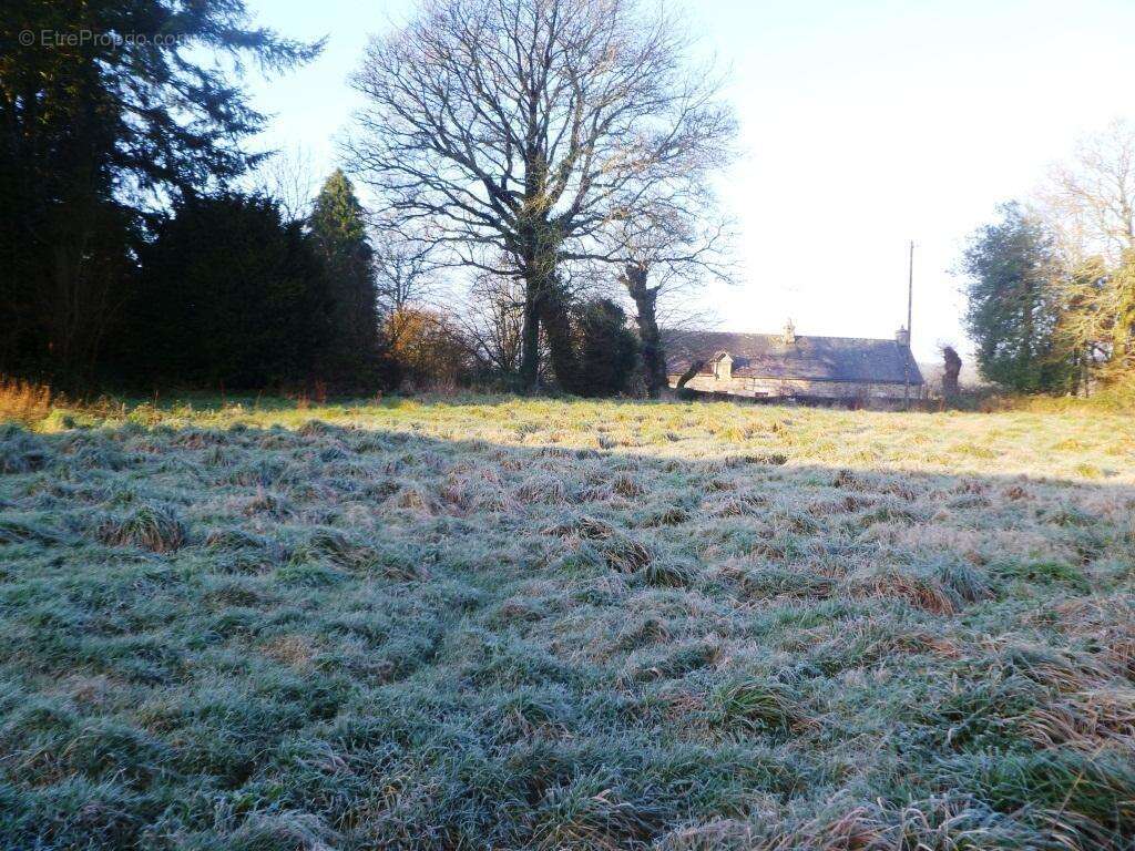 Terrain à LANGOELAN