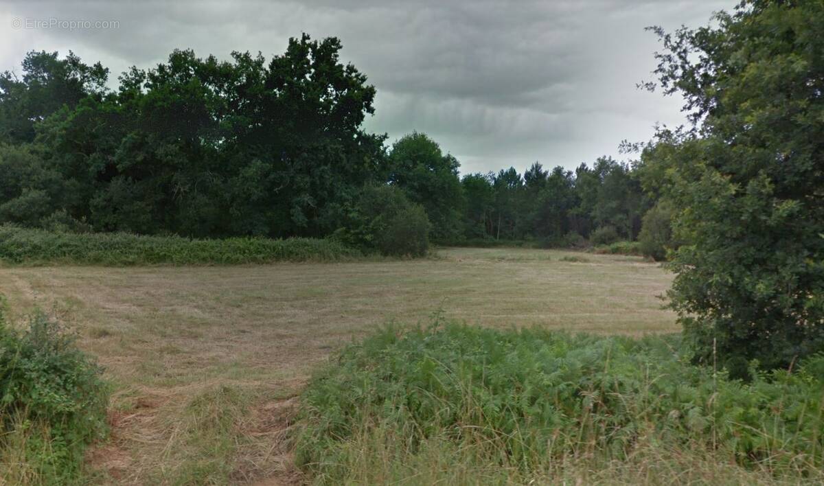 Terrain à BELIN-BELIET