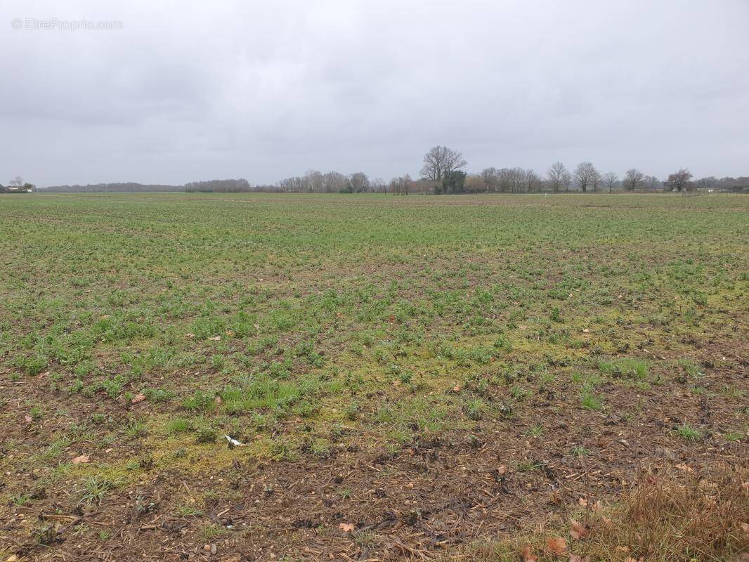 Terrain 500 m² à Sadirac · 90 000 €