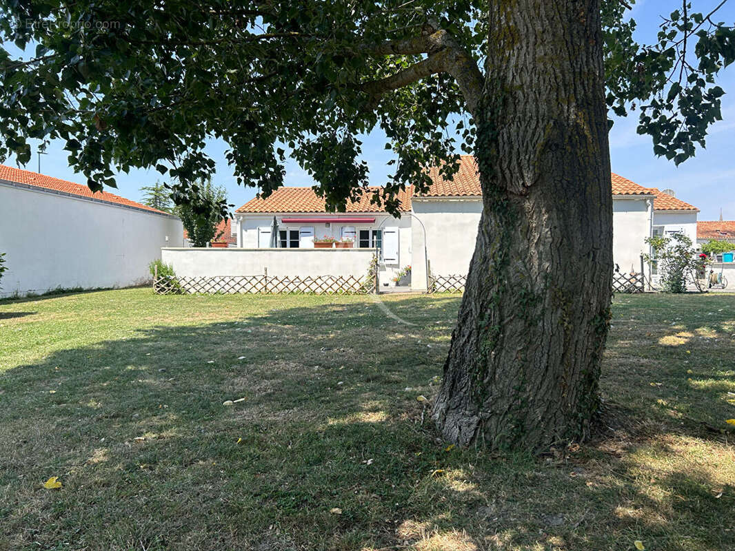 Maison à L'ILE-D'ELLE