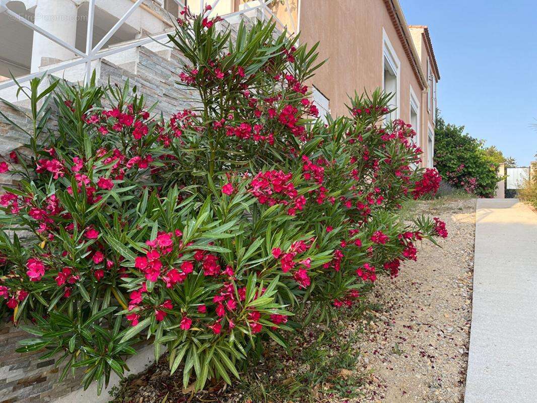 Appartement à SAUSSET-LES-PINS