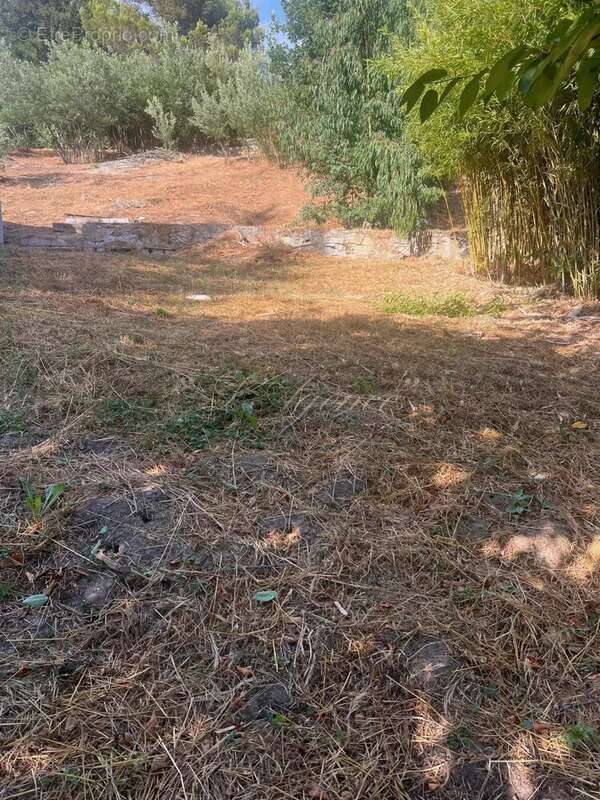 Terrain constructible berre les alpes - photo 5