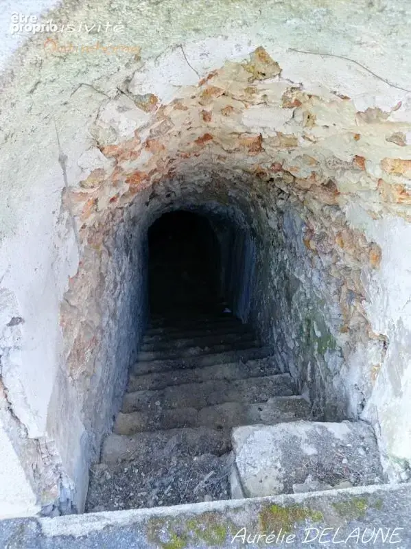 Maison de caractère 158,5 m² – 5 pièces - Jardin - Dependance - Garage - Cave - Limours (91) - 30min de Paris - photo 12