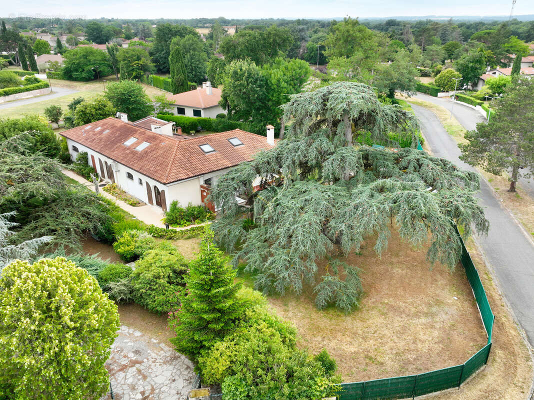 Propriété familiale avec parc arboré de plus de 2 250 m2 - photo 2