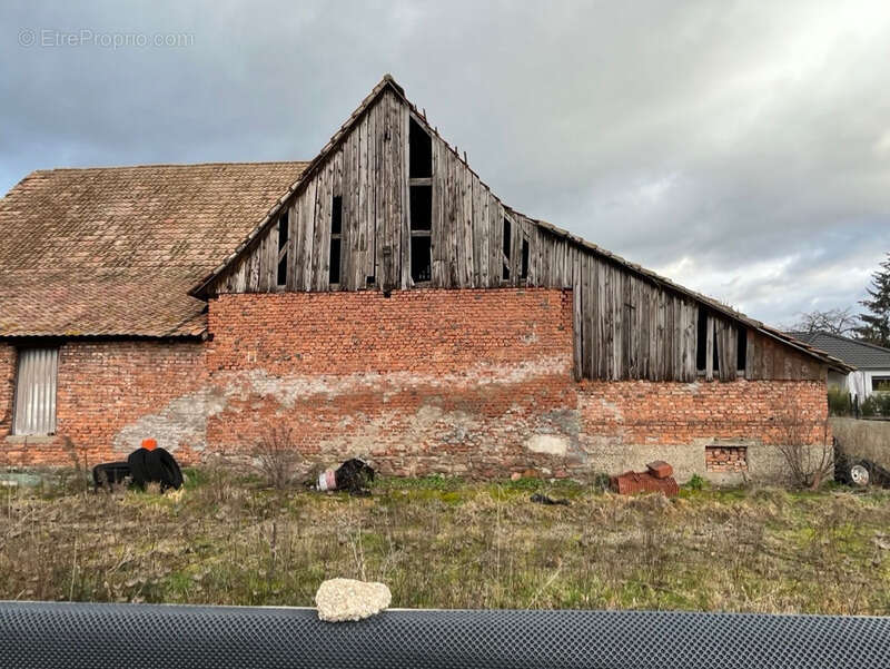 Autre à MUTTERSHOLTZ