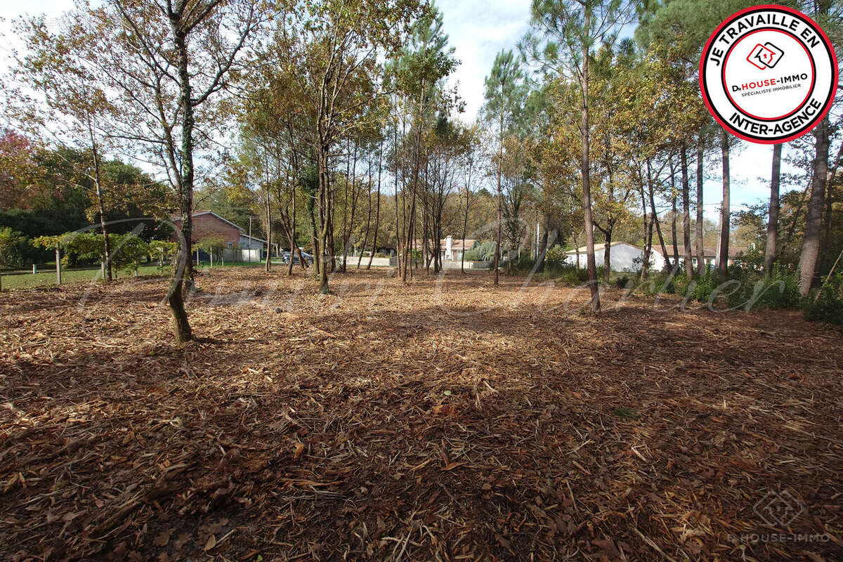Terrain à SAINT-SAUVEUR
