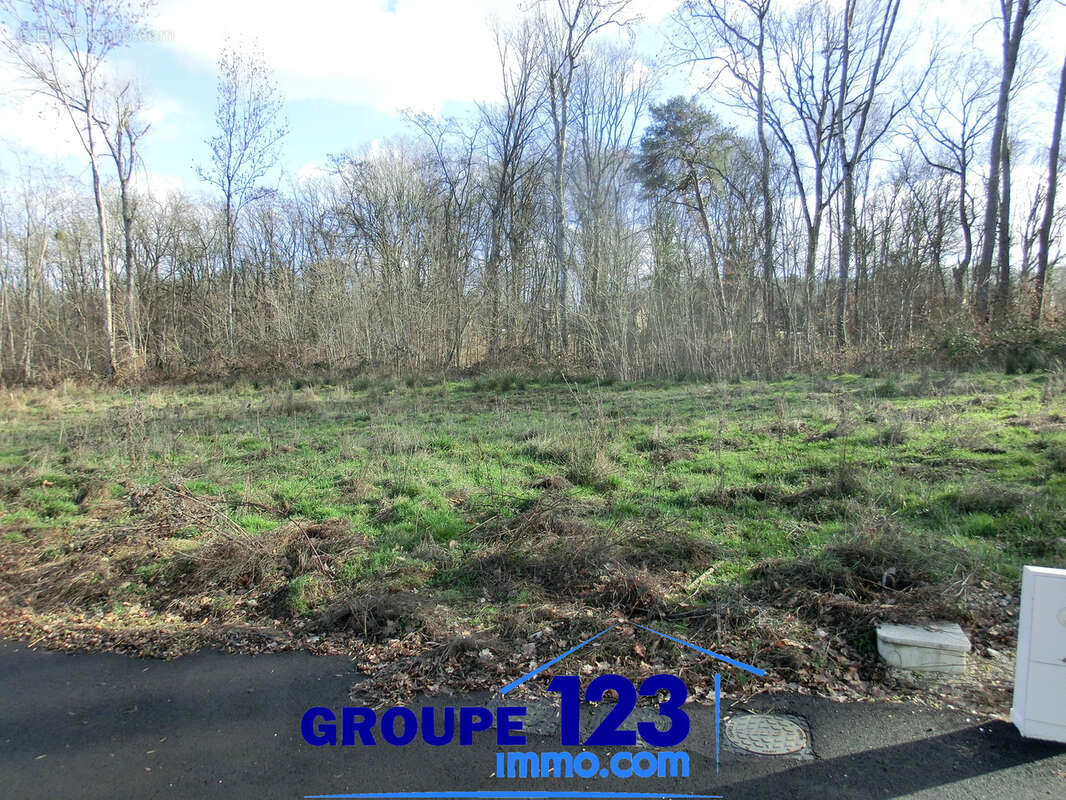 Terrain à APPOIGNY