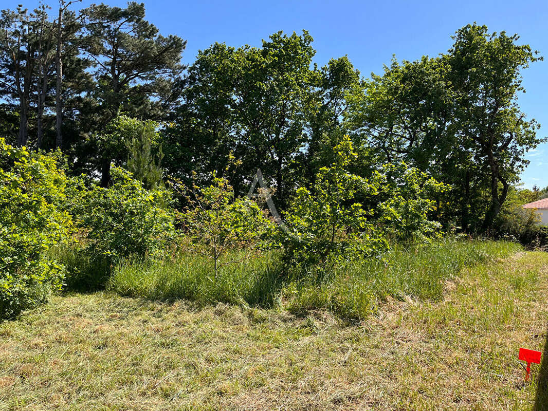Terrain à LA CHAPELLE-ACHARD