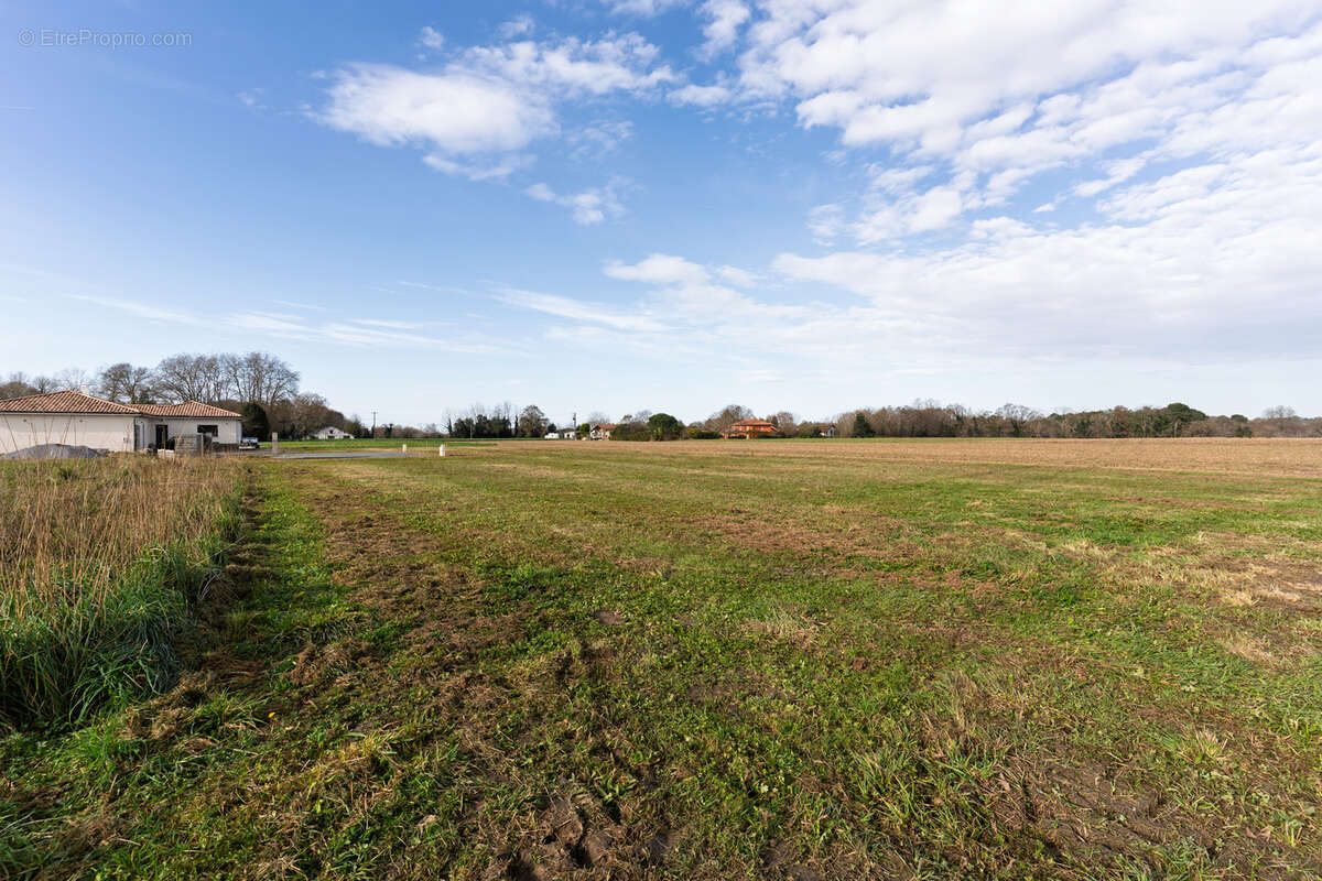Terrain à SAINT-MARTIN-DE-HINX