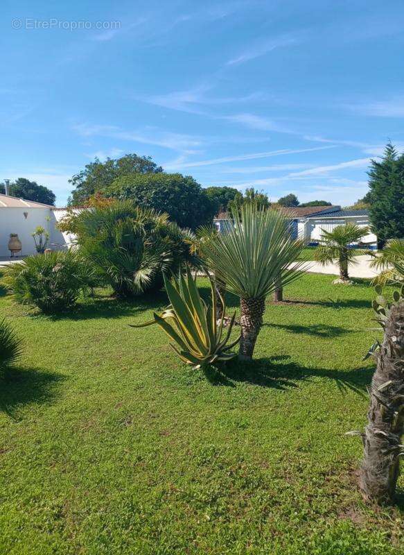 Maison à SAINT-JUST-LUZAC