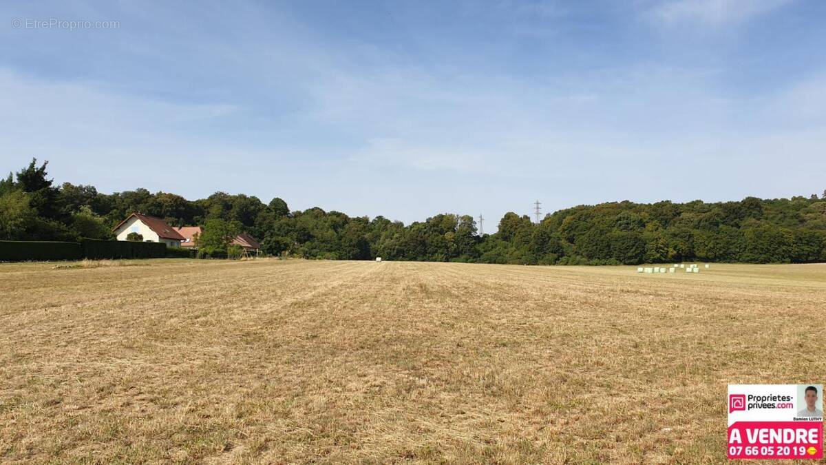 Terrain à BAVILLIERS