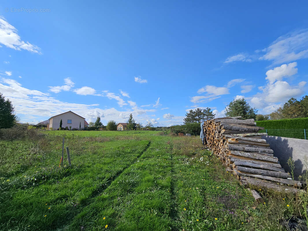 Terrain à SERBANNES