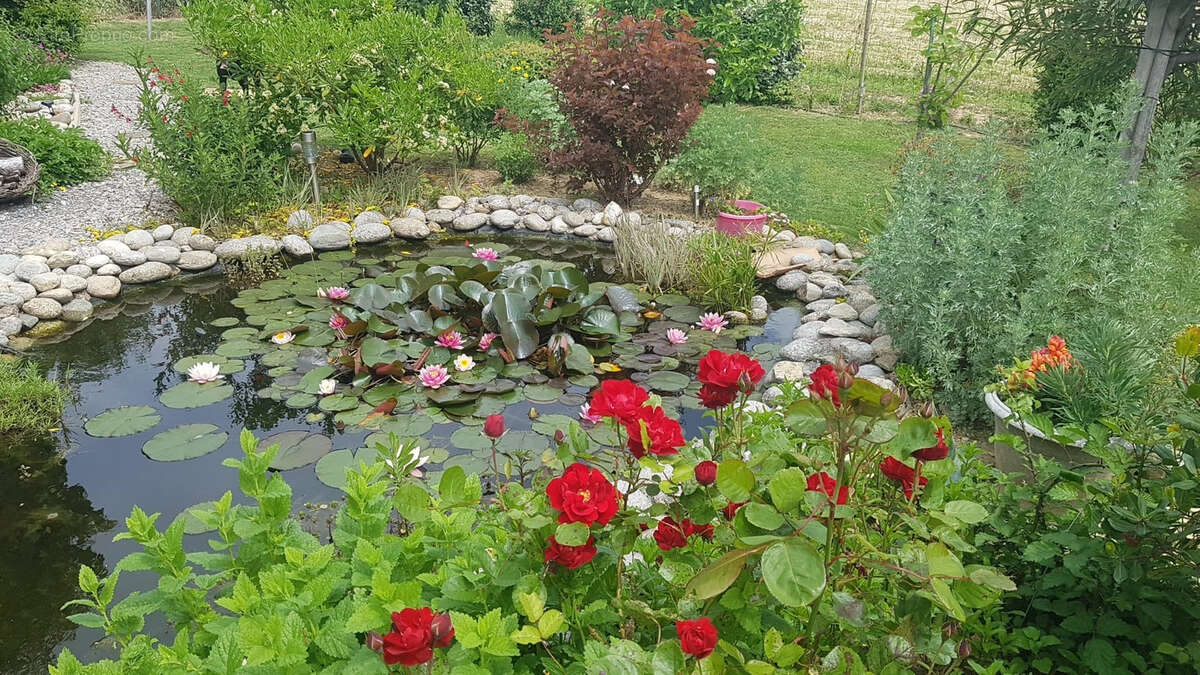 Maison à CARCASSONNE