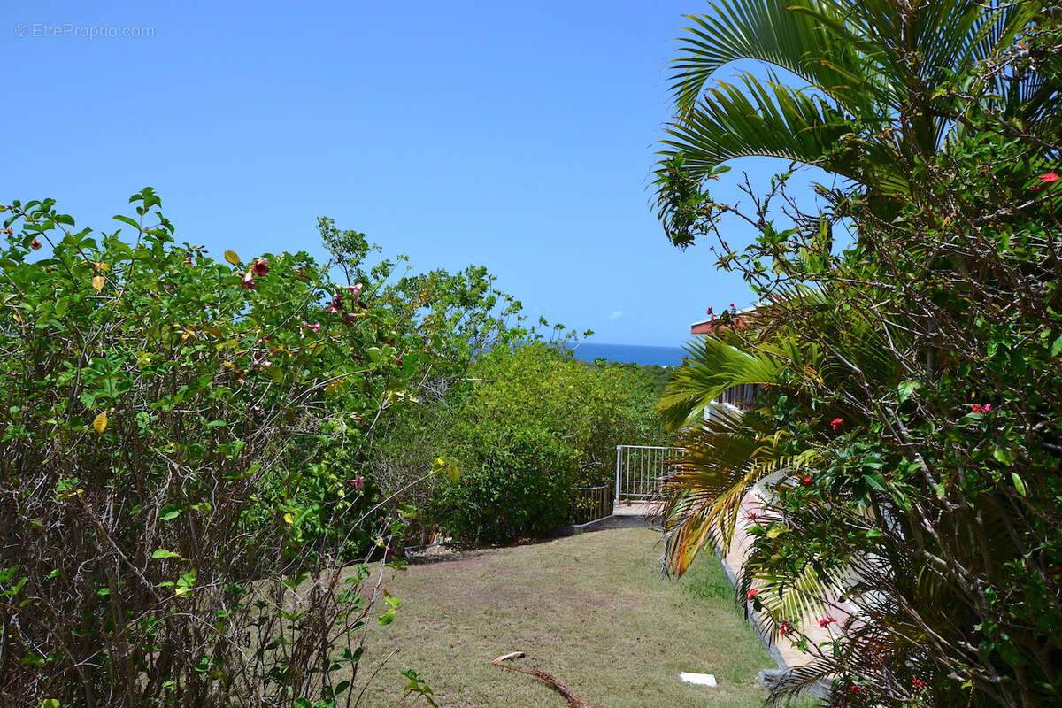 Terrain 4 000 m2   Vue mer imprenable   2 400 m2 constructibles (Zone UG)   Opportunité Investisseur - photo 5
