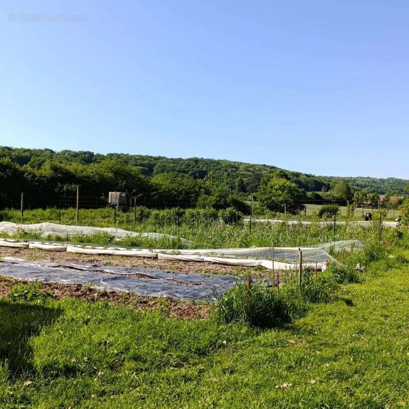 Terrain à VERDELOT