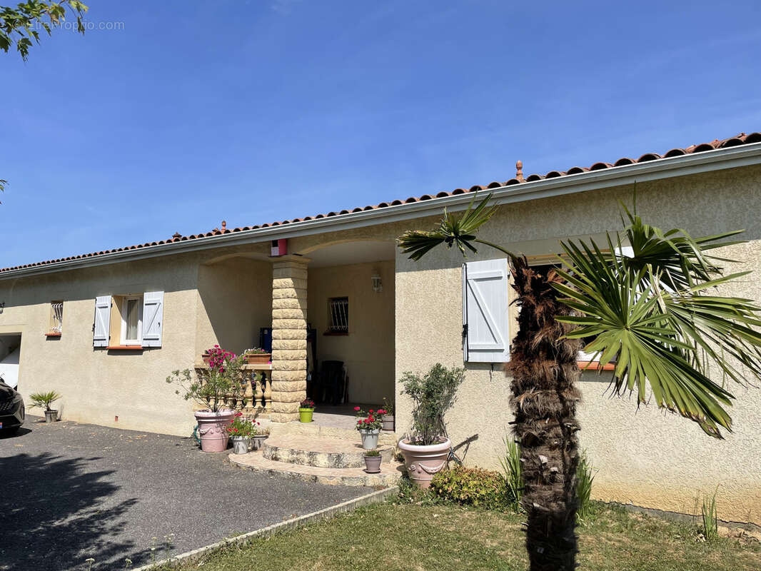 Maison126m2  de plain-pied à Nègrepelisse - photo 13
