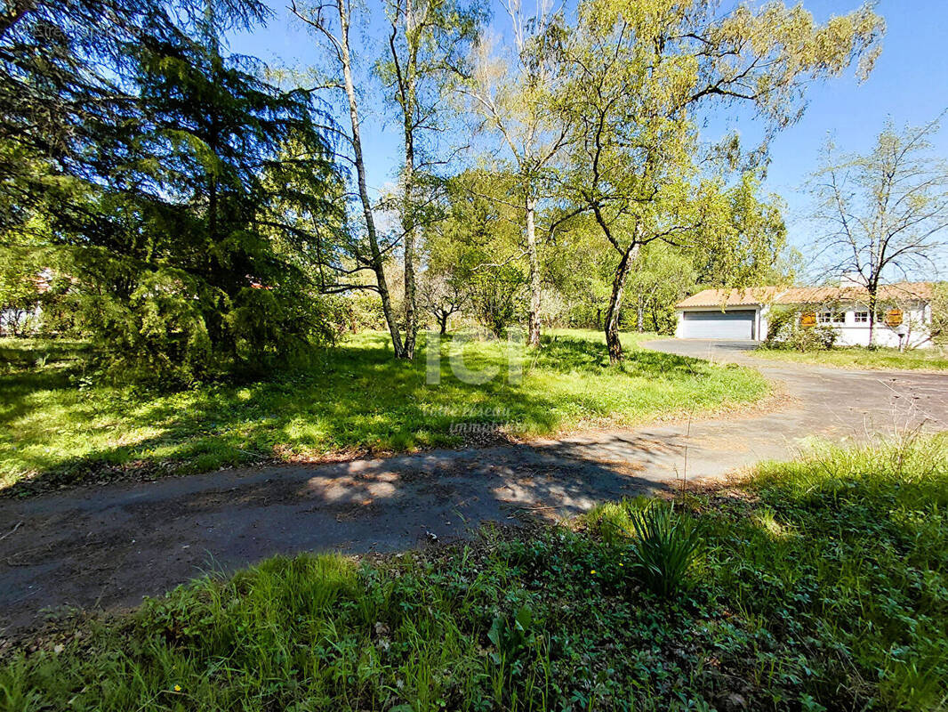 Terrain à BASSE-GOULAINE