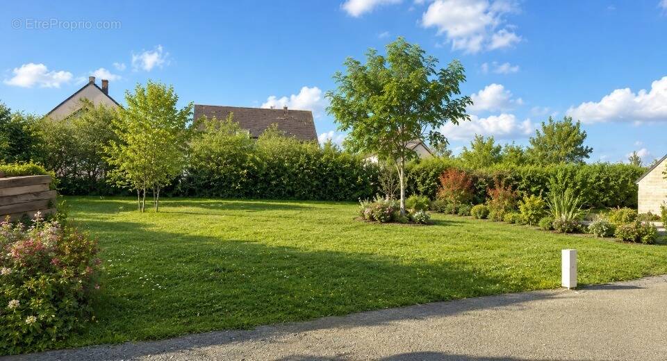 Terrain à AMBOISE