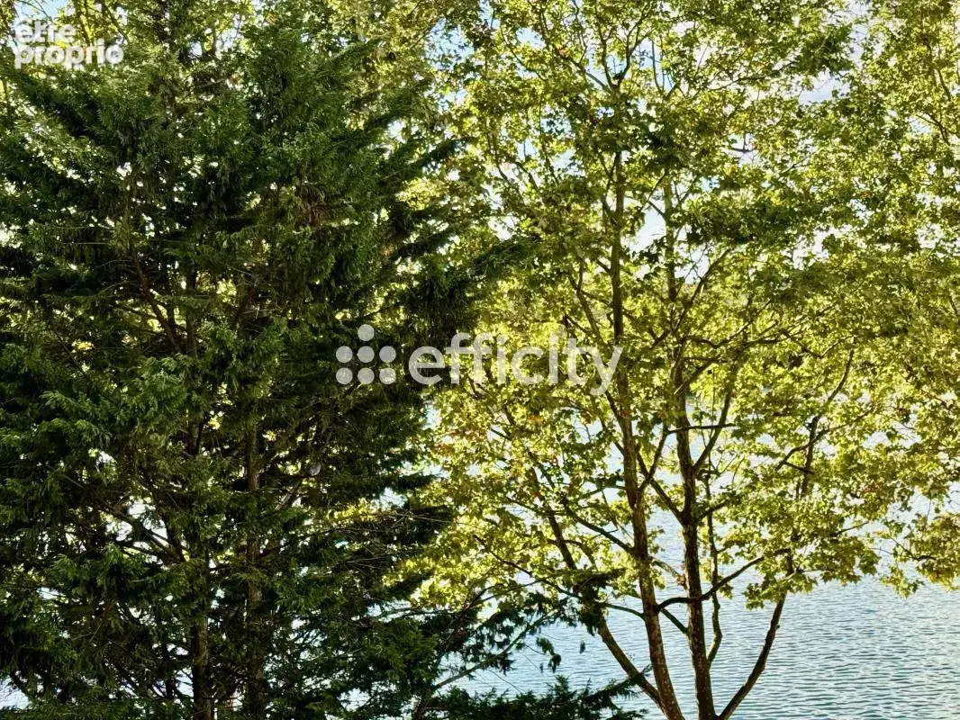 Appartement - photo 18