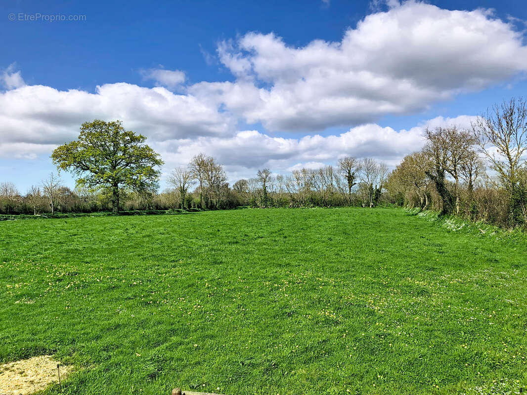 Maison à SAINT-DENIS-LE-VETU