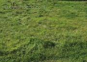 Terrain à BELLOU-EN-HOULME