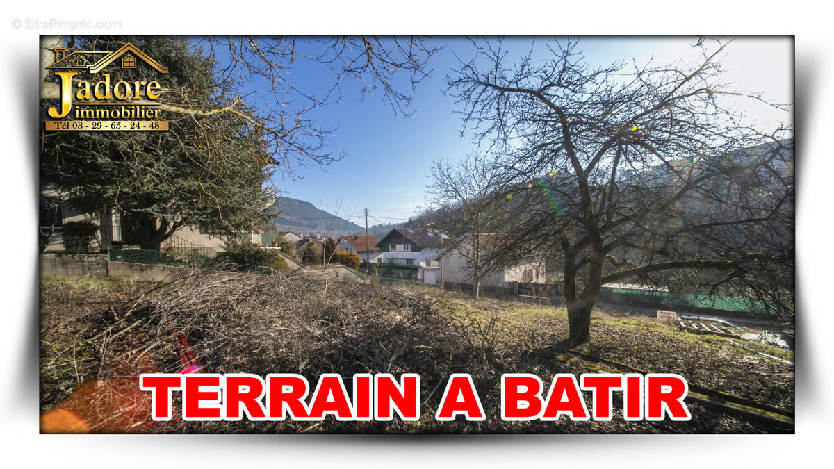 Terrain à COINCHES