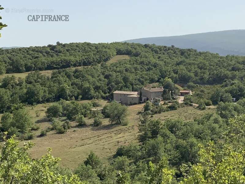 Propriété Gîtes et chambres d'hôtes 20 ha - 550 m2 à Banon - photo 2