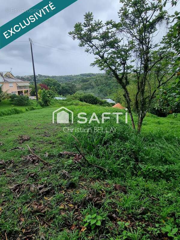 Photo 9 - Terrain à LE LAMENTIN