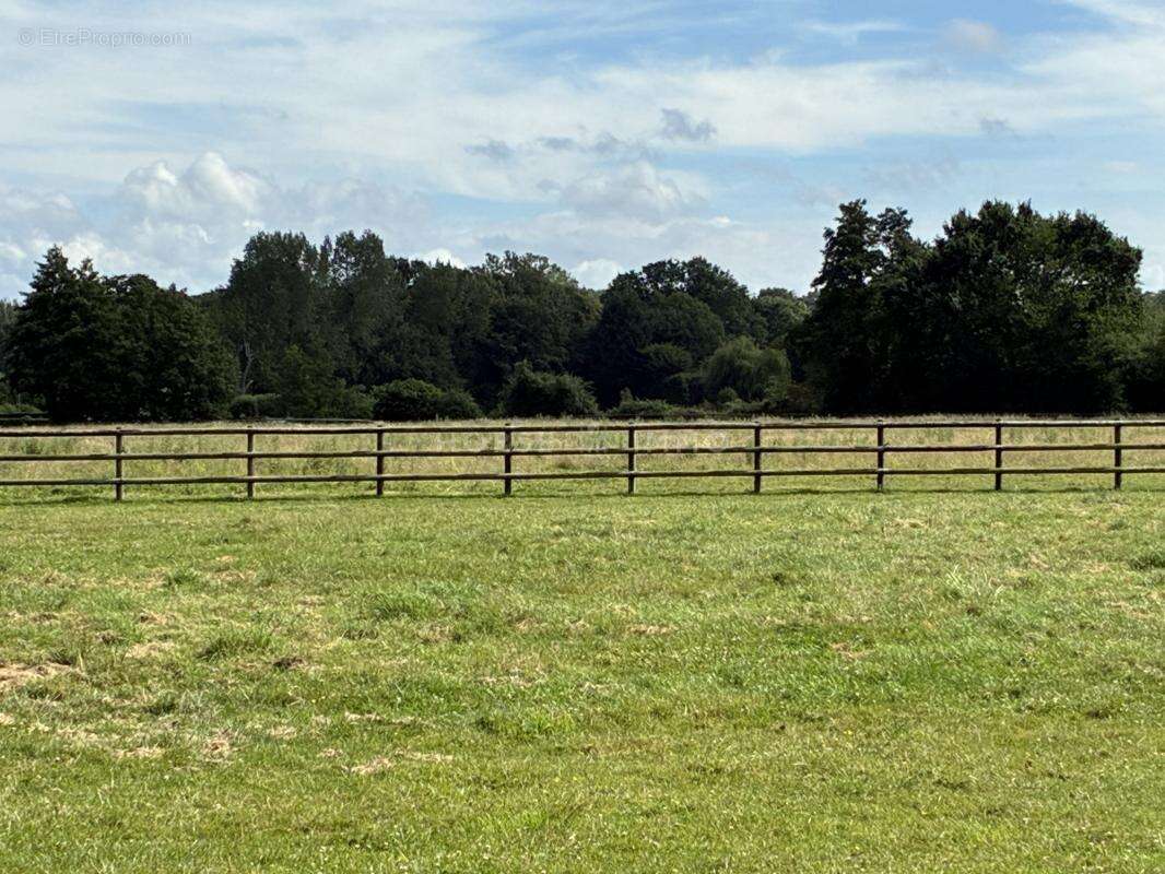 Tourgéville - Domaine d'exception de 5,6 hectares avec pisc - photo 7