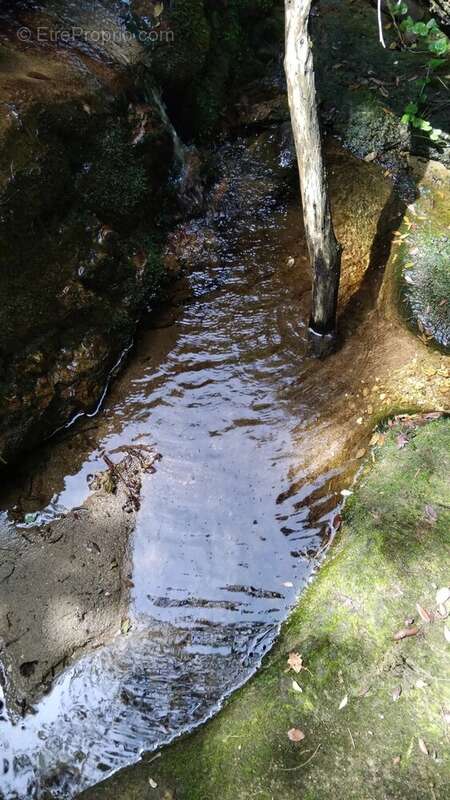 Terrain à SAINTE-AGNES